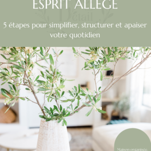 E-book - Maison rangée Esprit allégé